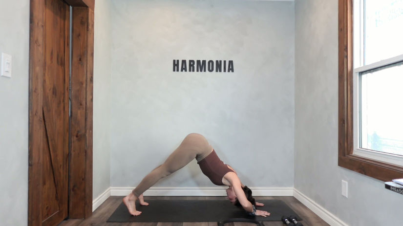 14 DAY CHALLENGE | DAY 8 | 15 MIN Shoulders and Core Sculpt